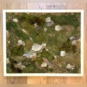 Gorgeous Moss Frame - Wall Art